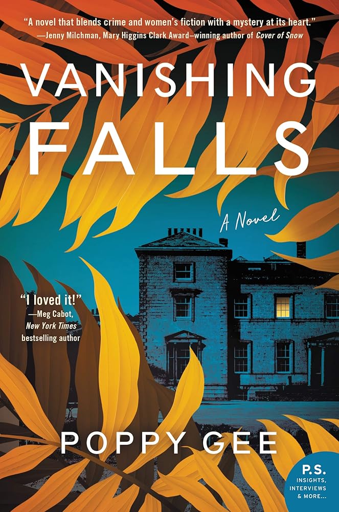 Vanishing Falls: A Novel cover image