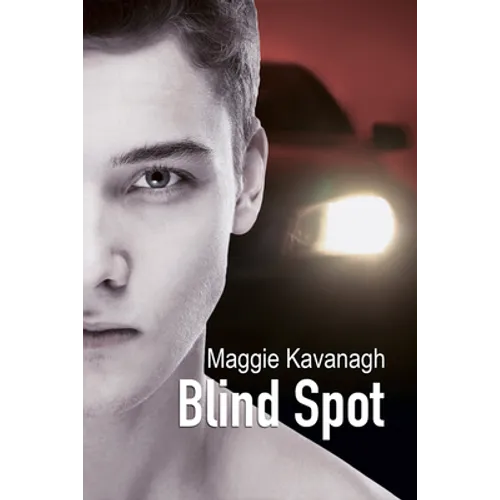Blind Spot: Volume 3