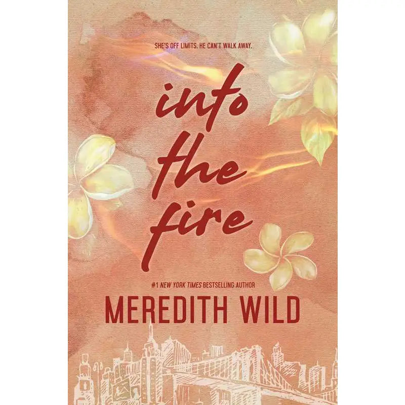 Into the Fire: Darren & Vanessa's Story (The Bridge Series)