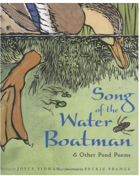 Song of the water boatman